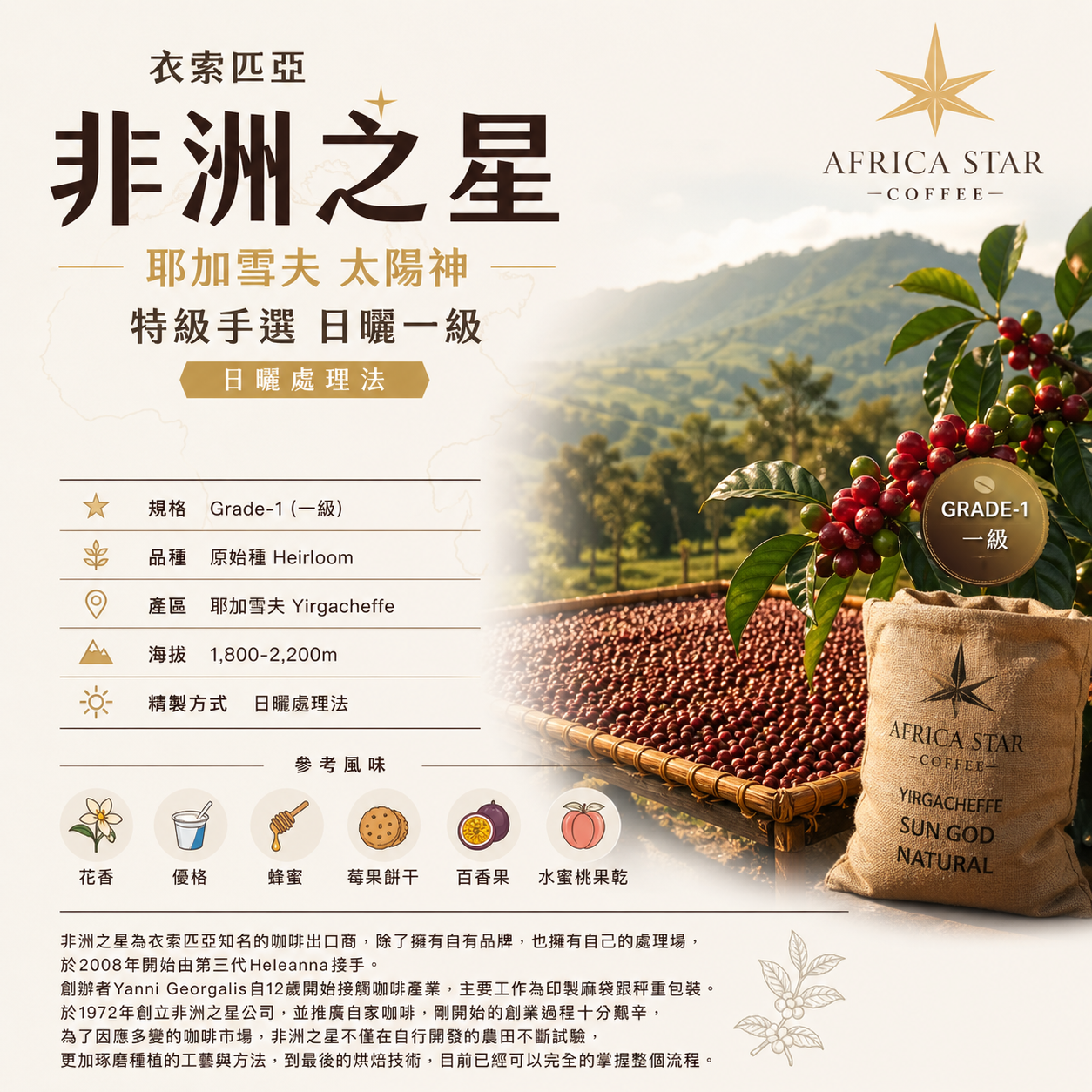 太陽神特級首選（半磅裝）買一送一