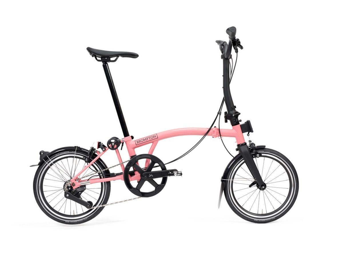 Brompton P Line - 2026 火鶴粉 - M把12速
