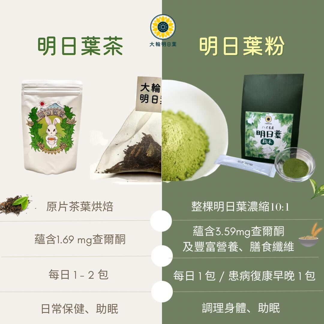 (A) 大輪明日葉烘焙草本茶(1袋20包 X 2g)（三角立體茶包）（6包平均每件$298) - #0605dl