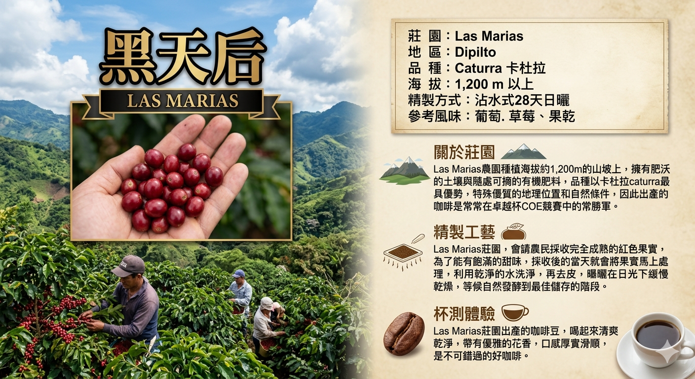 尼加拉瓜黑天后（半磅裝）買一送一