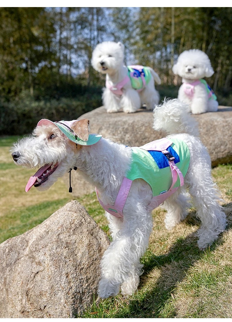 MOOKIPET户外炫彩马甲