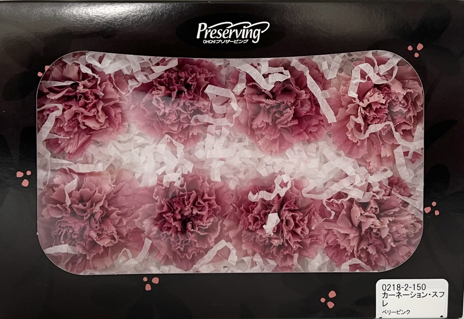 日本不凋漸層康乃馨(8朵) 02182-150