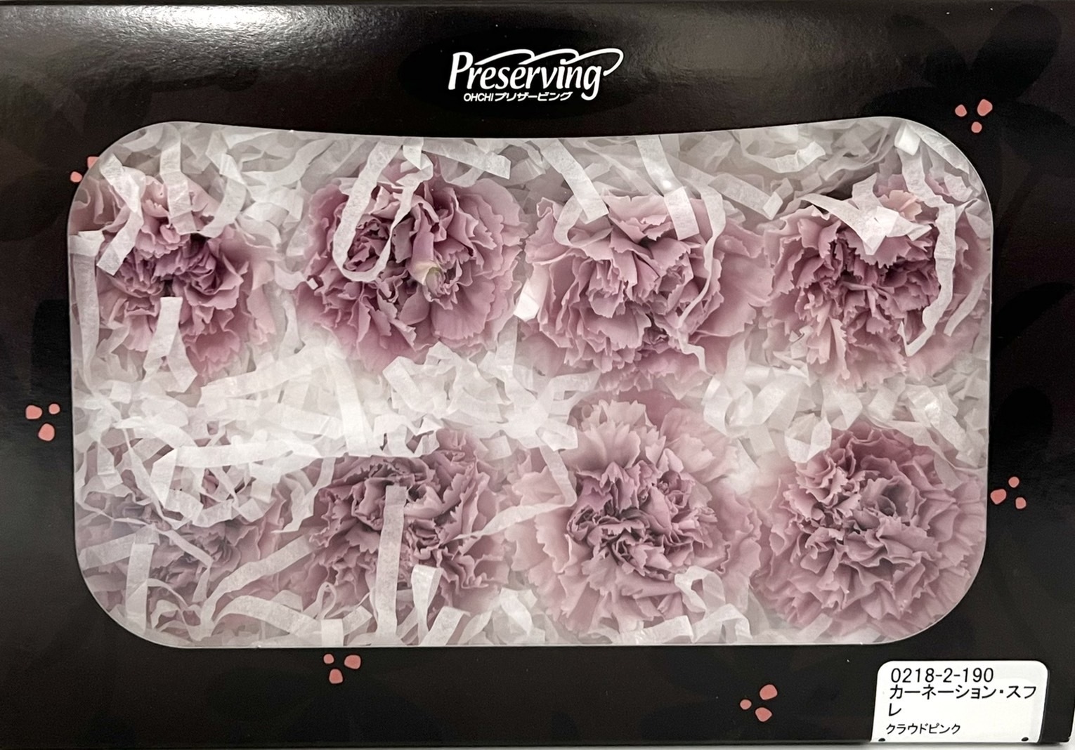 日本不凋漸層康乃馨(8朵) 02182-190