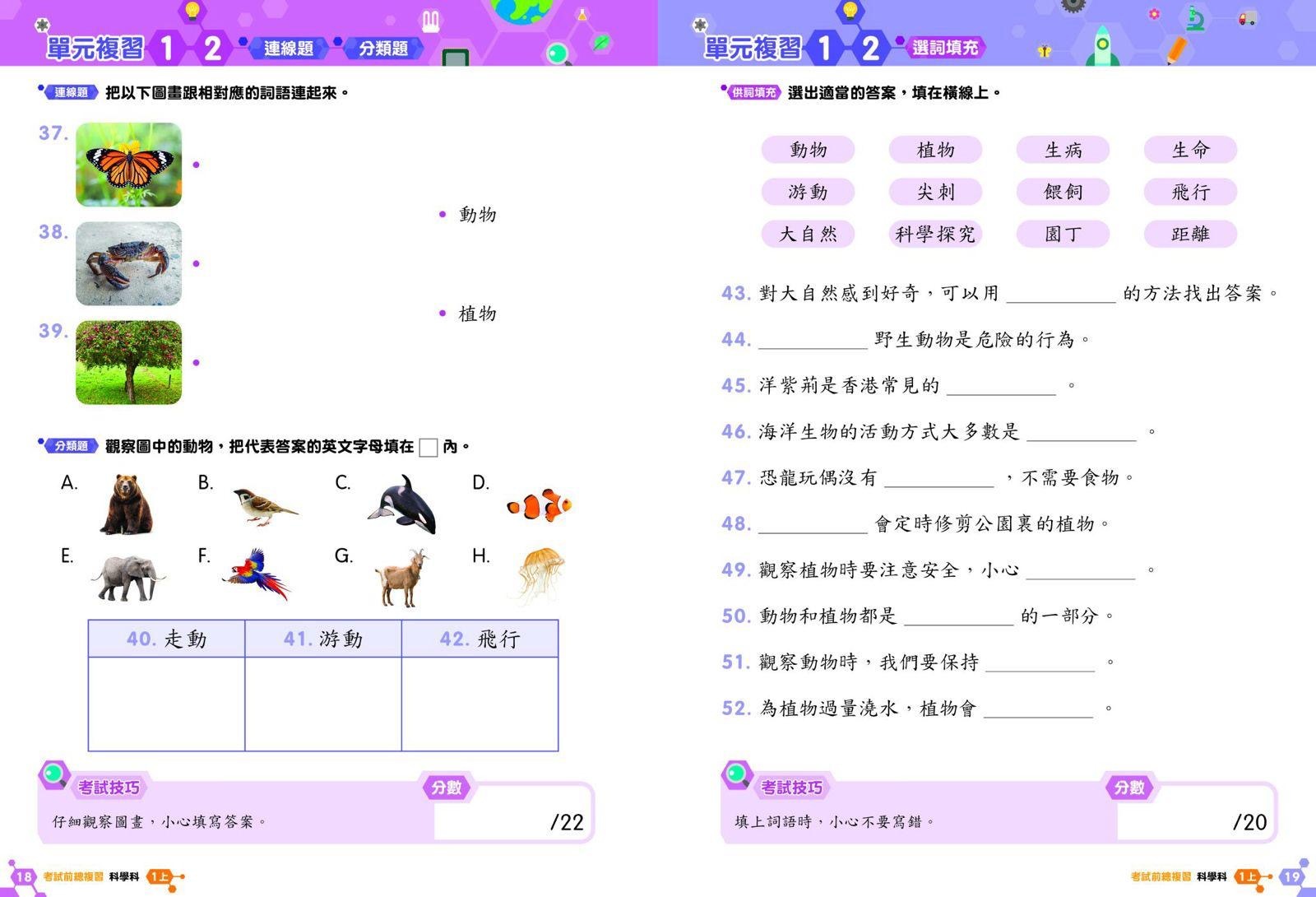 🟡小學人文科溫習全攻略🟡 -2600298-260507