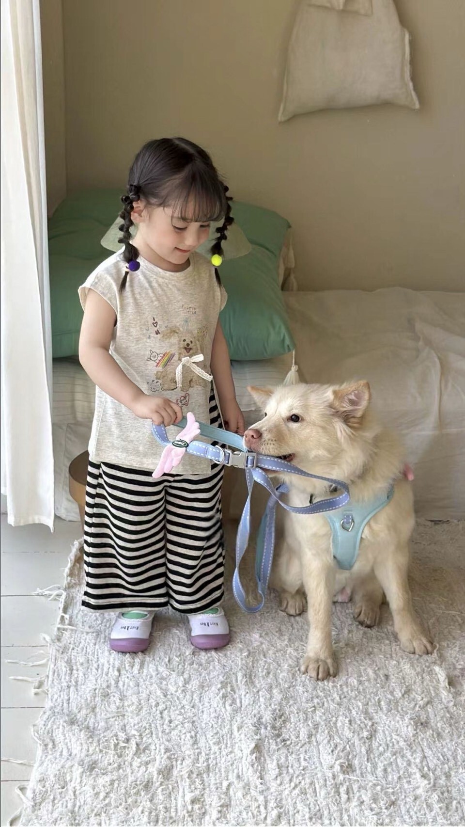蝴蝶結小狗陪伴上衣