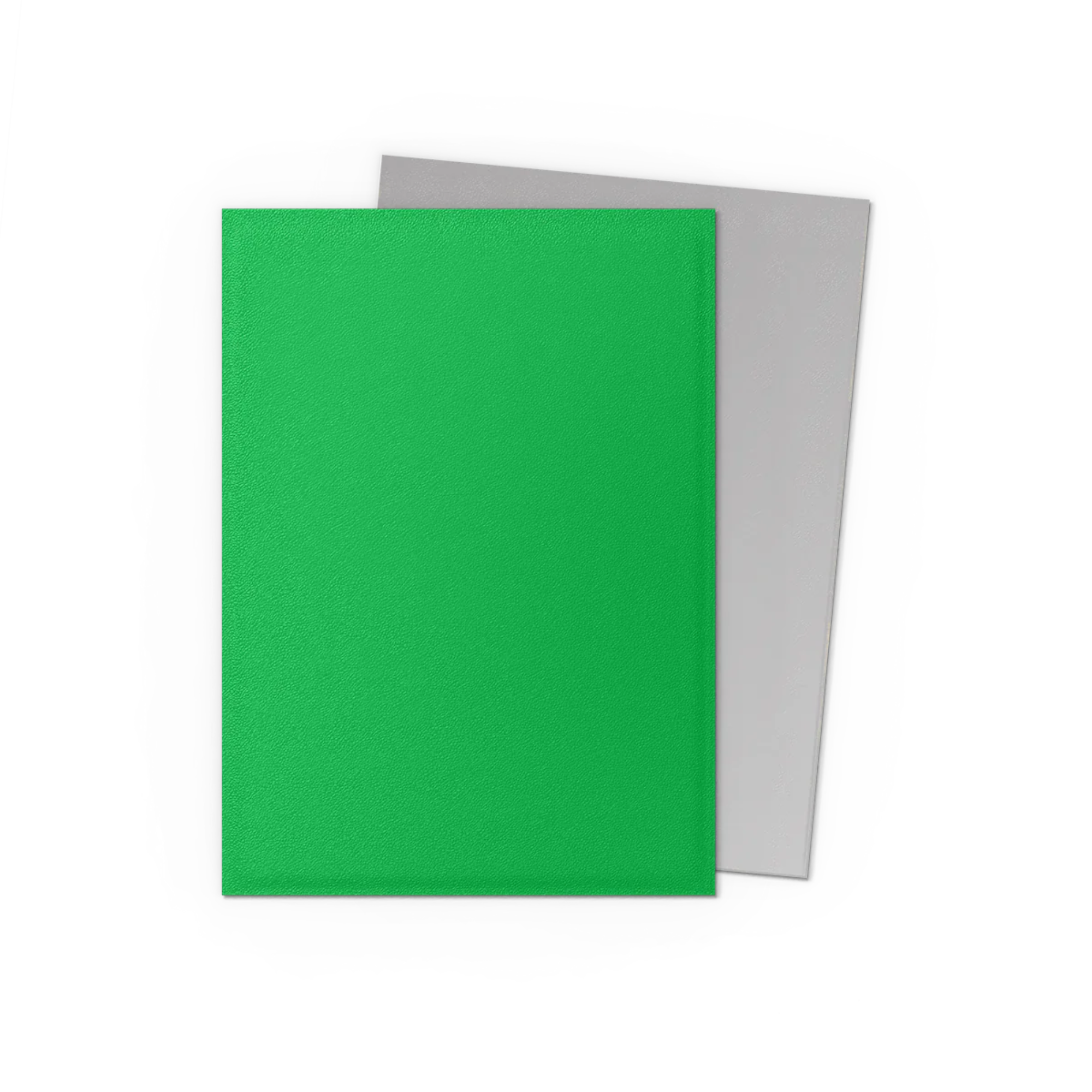 Dragon Shield - 100 Deck Protector Sleeves - Standard Size - Matte Dual - Apple Green & Silver - AT-15073