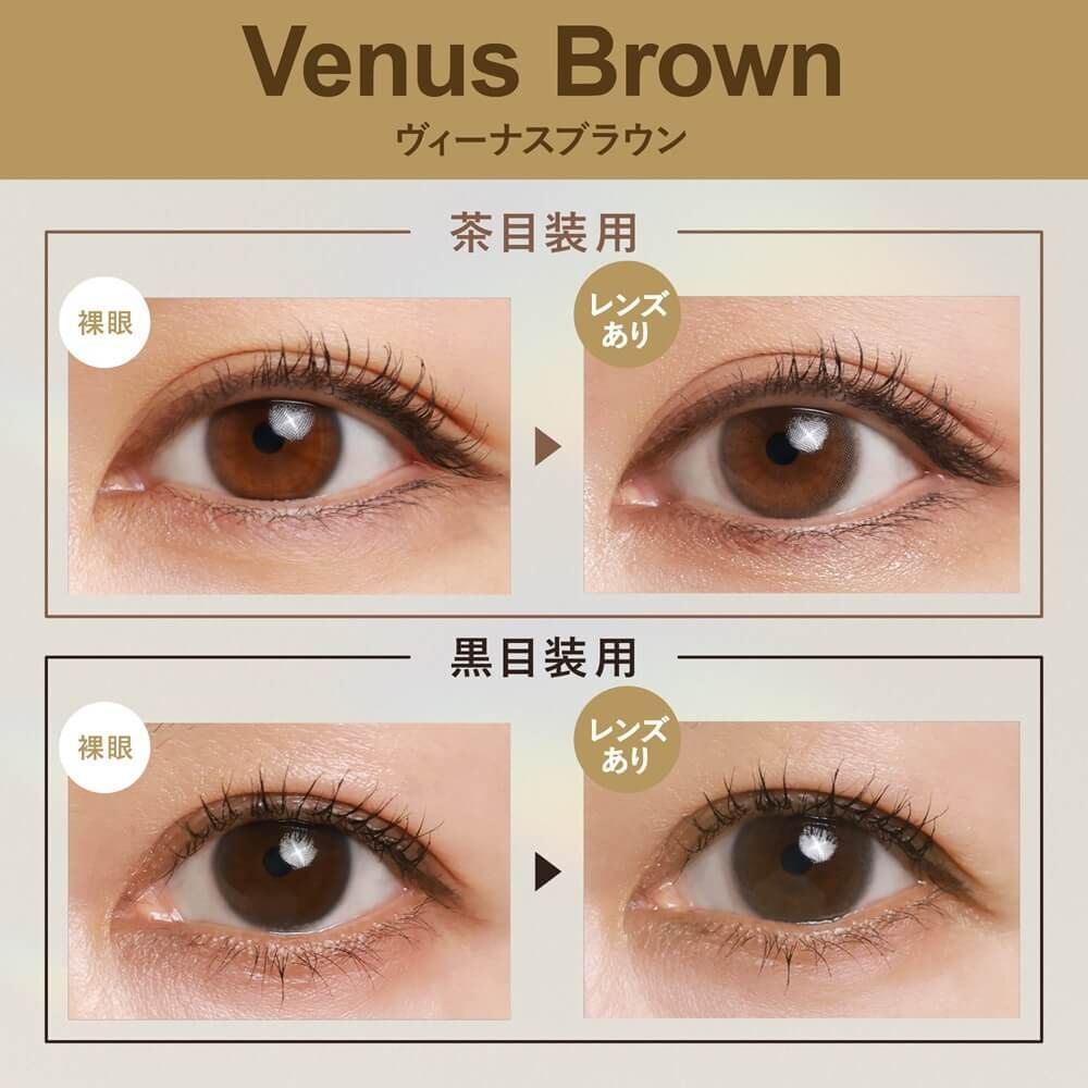 [日拋] GENiS 1 Day Venus Brown |日拋彩妝隱形眼鏡｜每盒30片