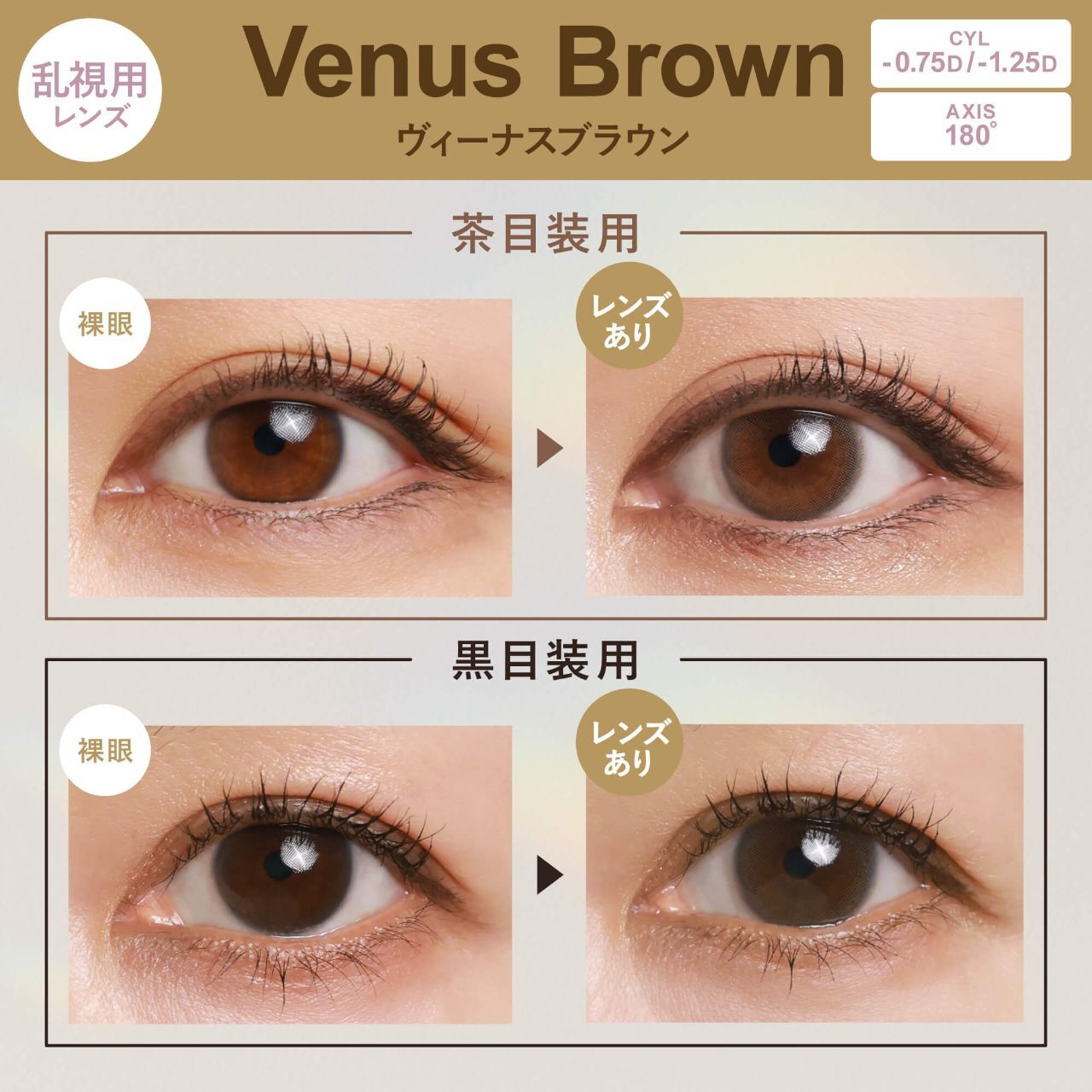 [散光] GENiS 1 Day Venus Brown |日拋彩妝隱形眼鏡｜每盒30片
