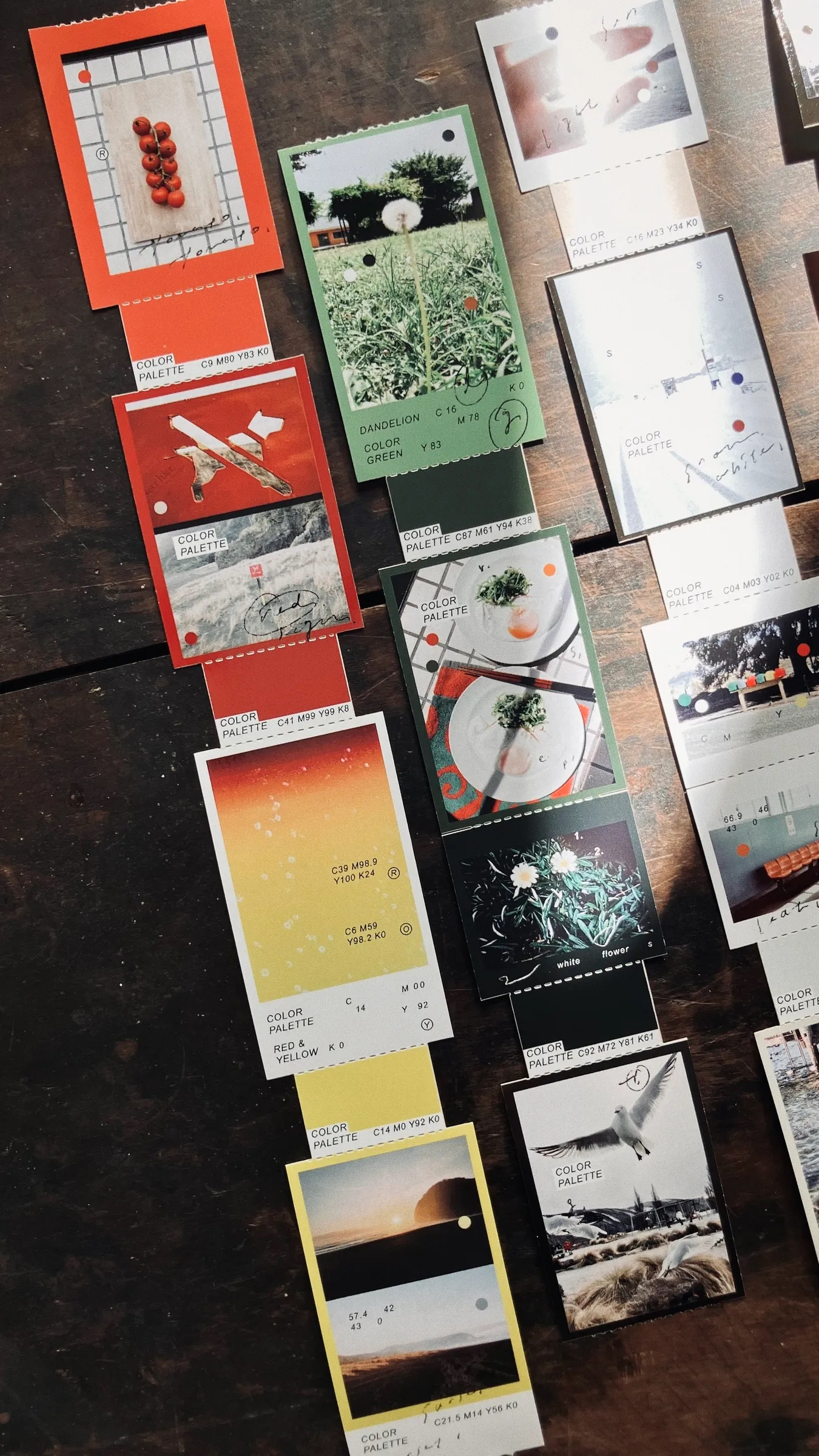 色彩學 𝐏𝐀𝐋𝐄𝐓𝐓𝐄 造型撕線 模造紙膠帶｜台灣 羊君 somesortof.fern