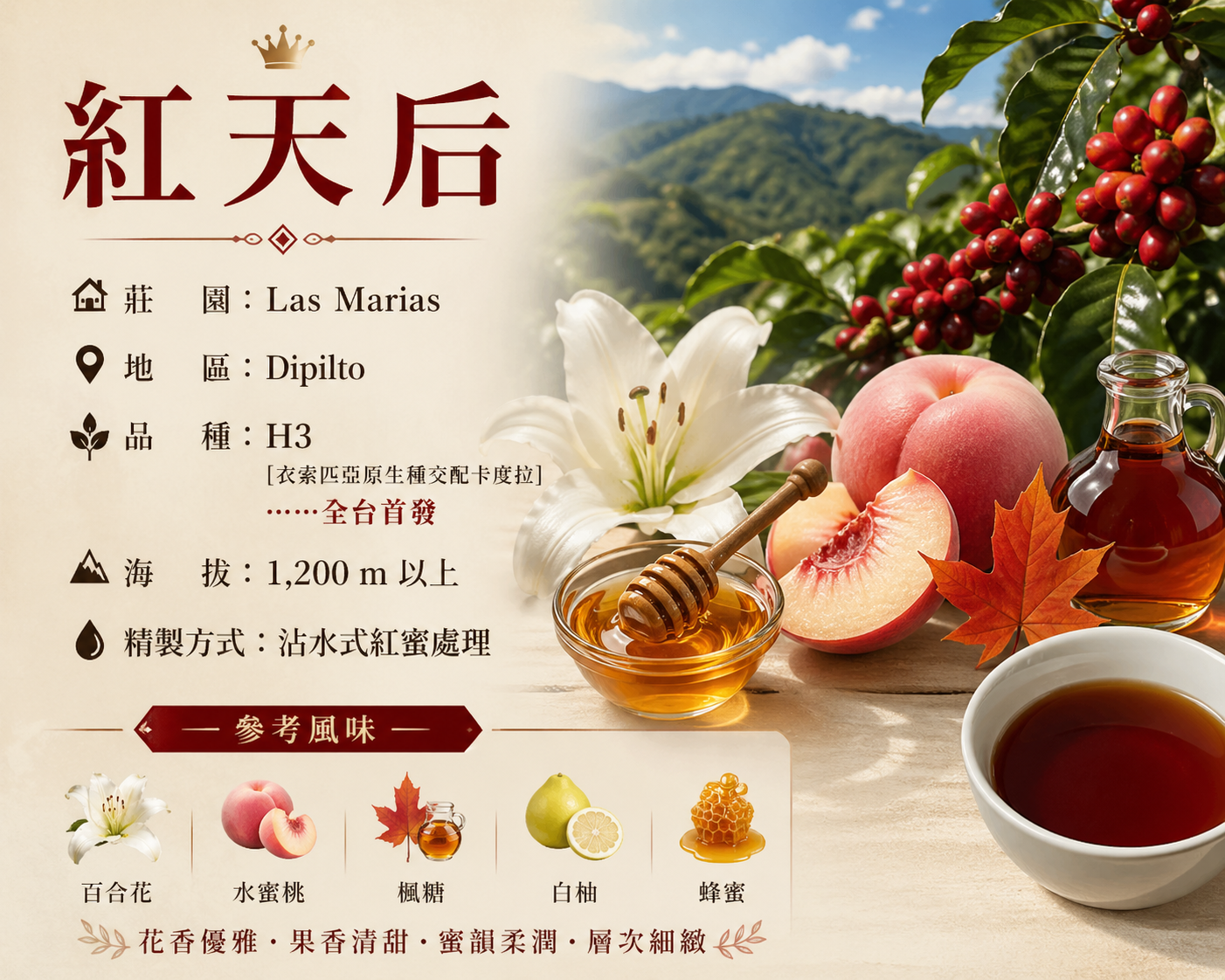 尼加拉瓜紅天后蜜處理咖啡豆買一送一（半磅裝）