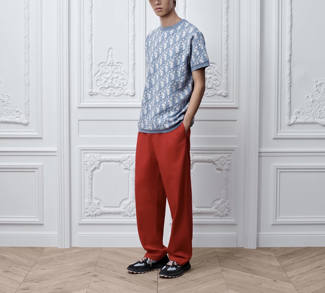 Dior oblique T-shirt