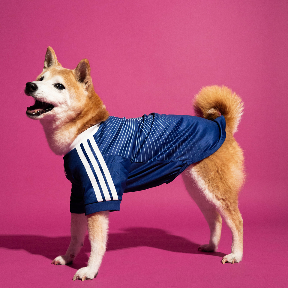 2026 Japan Pet Home Shirt