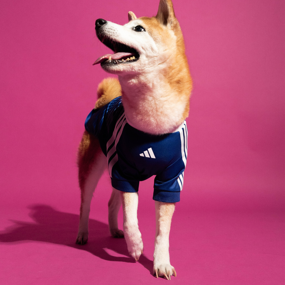 2026 Japan Pet Home Shirt
