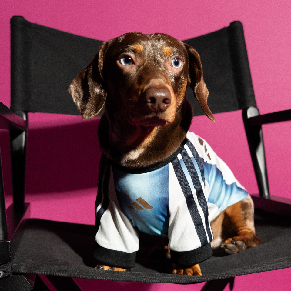 2026 Argentina Pet Home Shirt