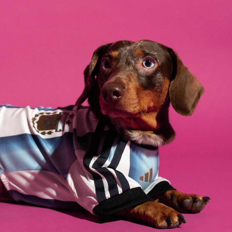 2026 Argentina Pet Home Shirt