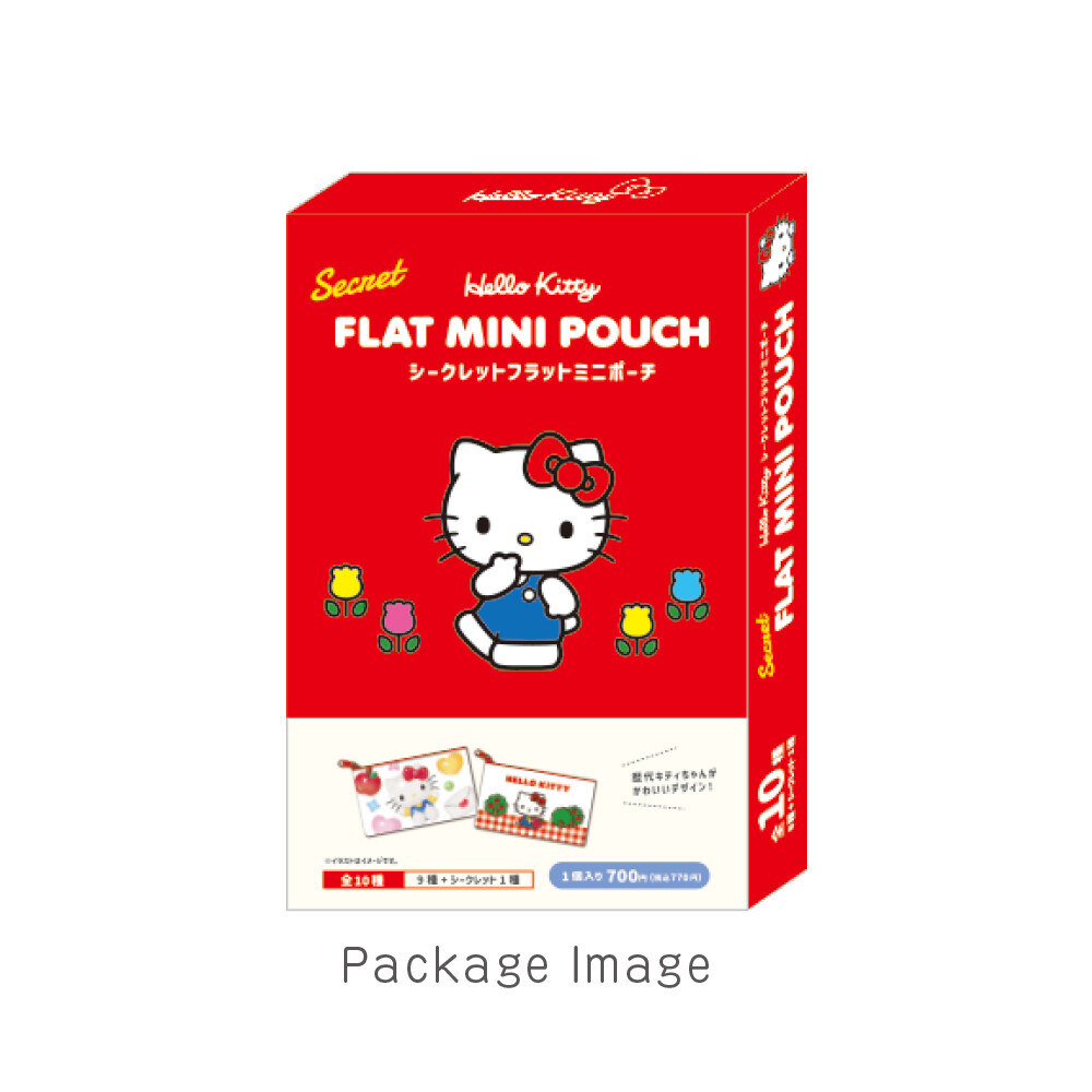 Sanrio Characters Secret Flat Mini Pouch Hello Kitty Blind Box