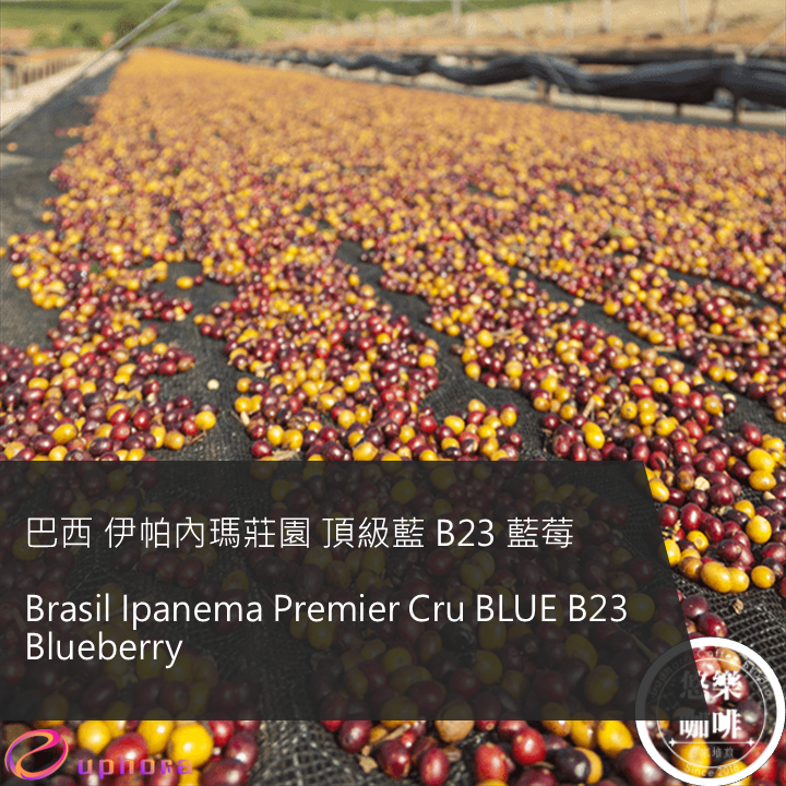 Brasil Ipanema Premier Cru BLUE B23 Blueberry