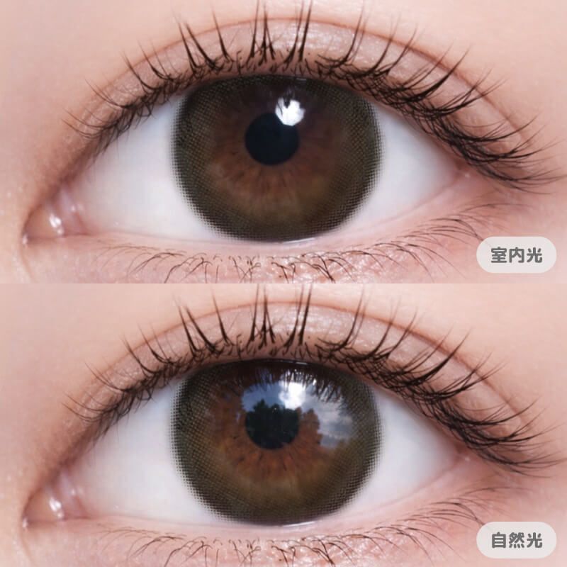 [散光] HAIDEY TORIC 1 Day Ideal Brown |日拋散光彩妝隱形眼鏡｜每盒10片