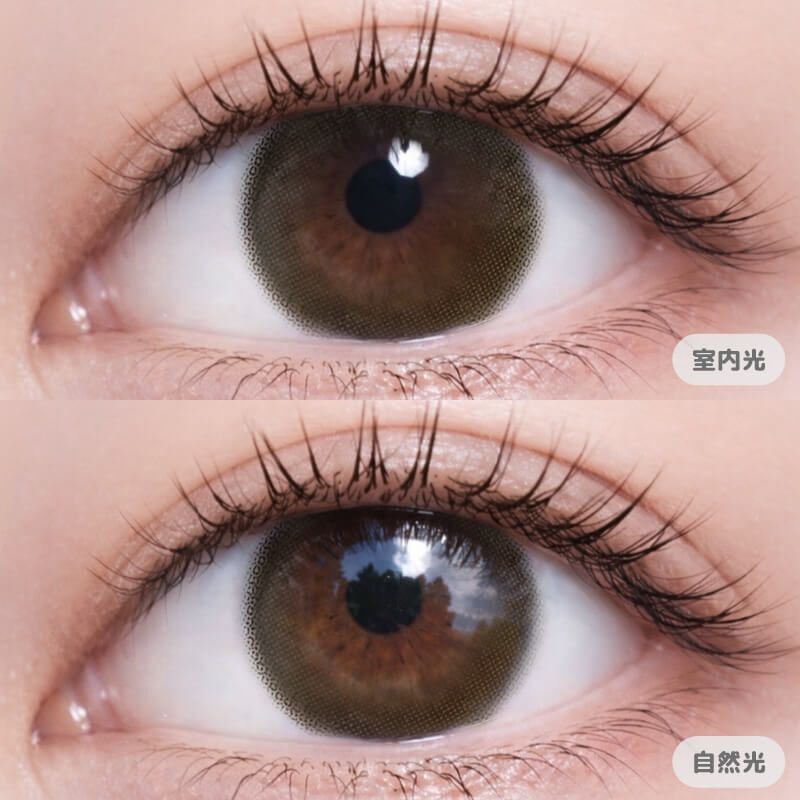 [日拋] HAIDEY TORIC 1 Day Holic Beige|日拋彩妝隱形眼鏡｜每盒10片
