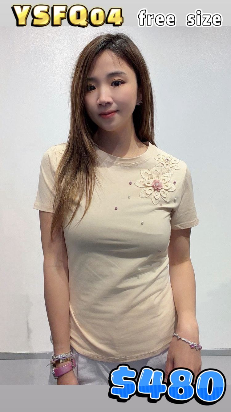 YSFQ04 -M