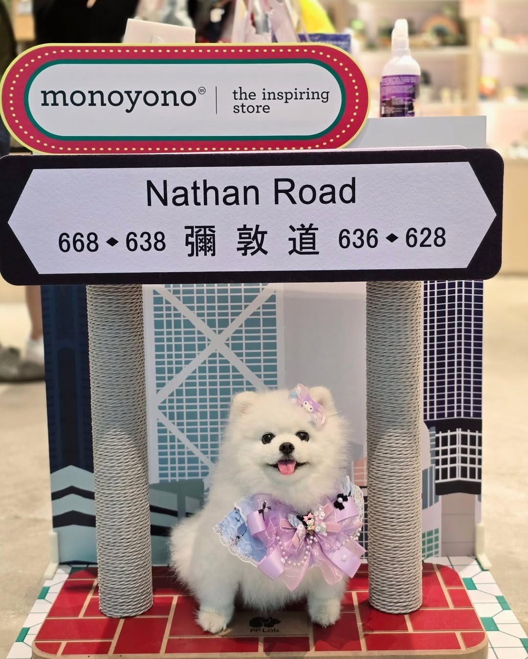 pplab 香港街道貓抓板