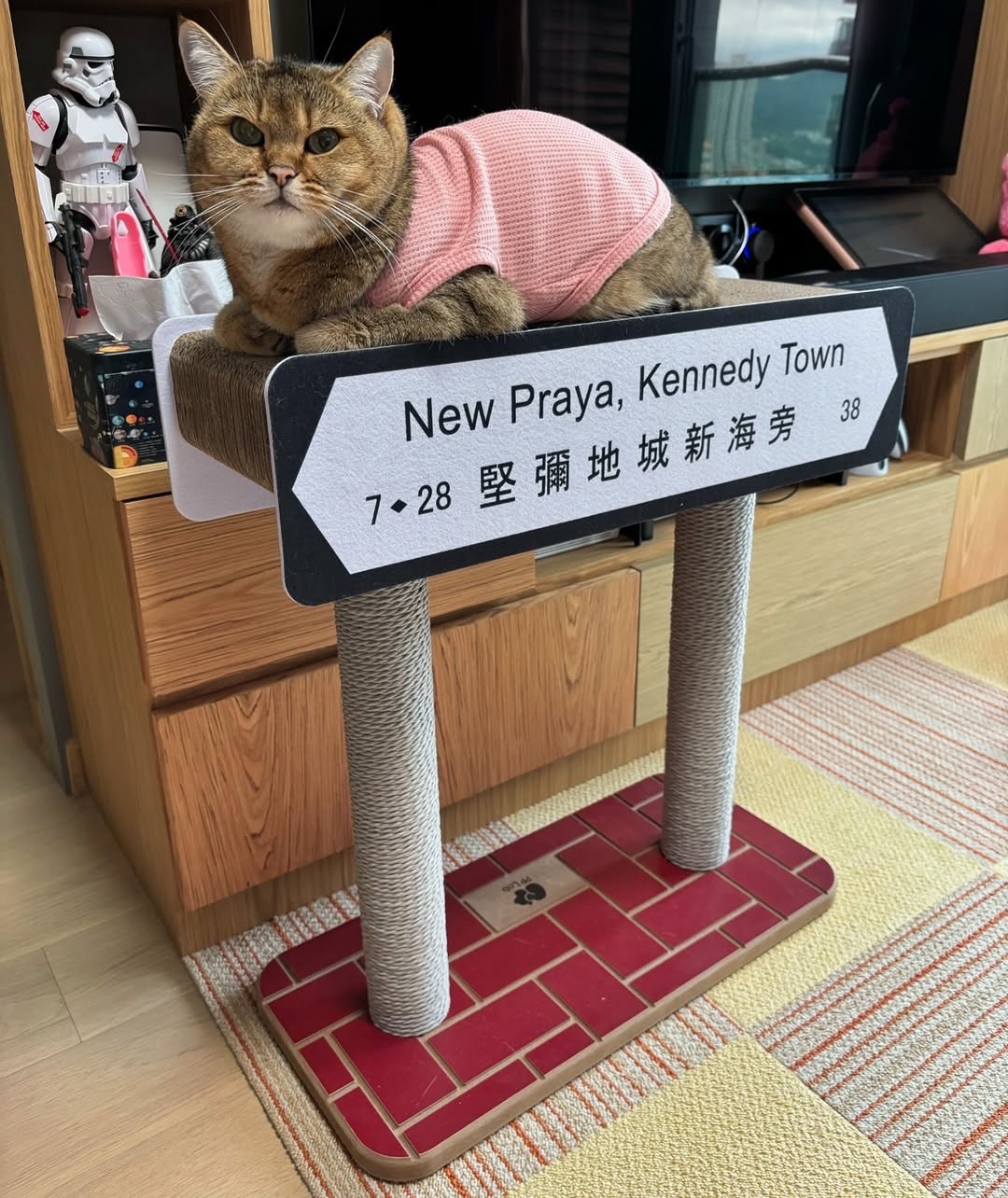 pplab 香港街道貓抓板