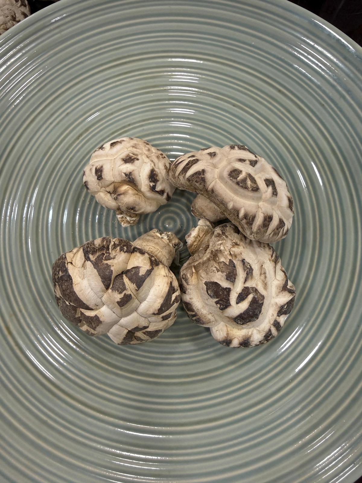ZE045 利豐行 湖北靚花菇 大 (日本種)斤（600g)
