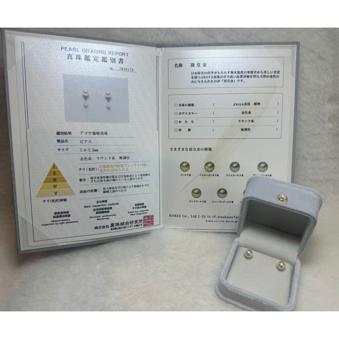 HKAG0502-001 *無調色* 日本羽皇金AKOYA 海水珍珠耳環 (日本越物證書) (K10) (金) 7.0-7.5MM 證書號碼 : (A1)