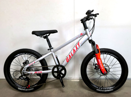 Galaxy MT228 20" MTB