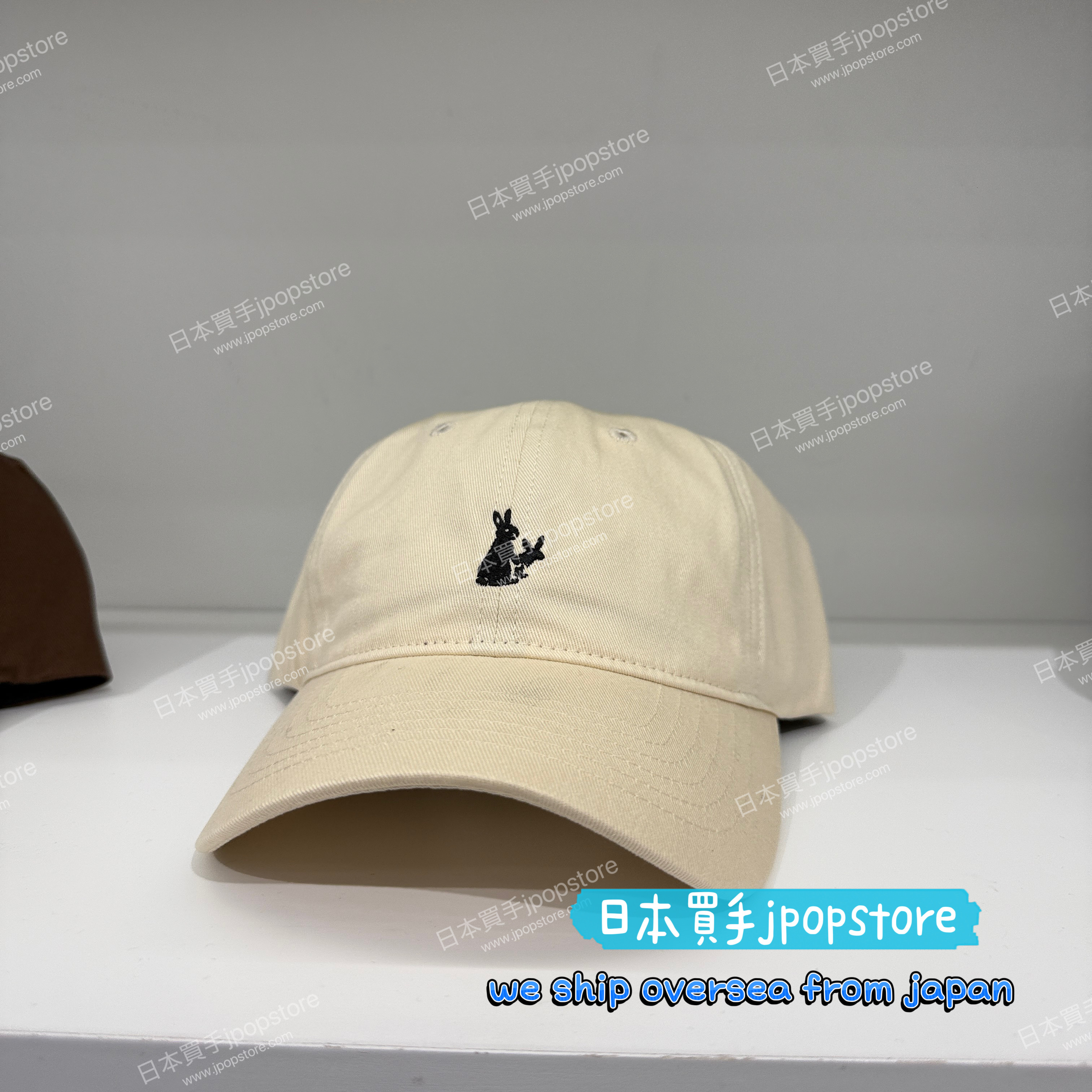 FR2 Embroidery Icon Cap fra2032