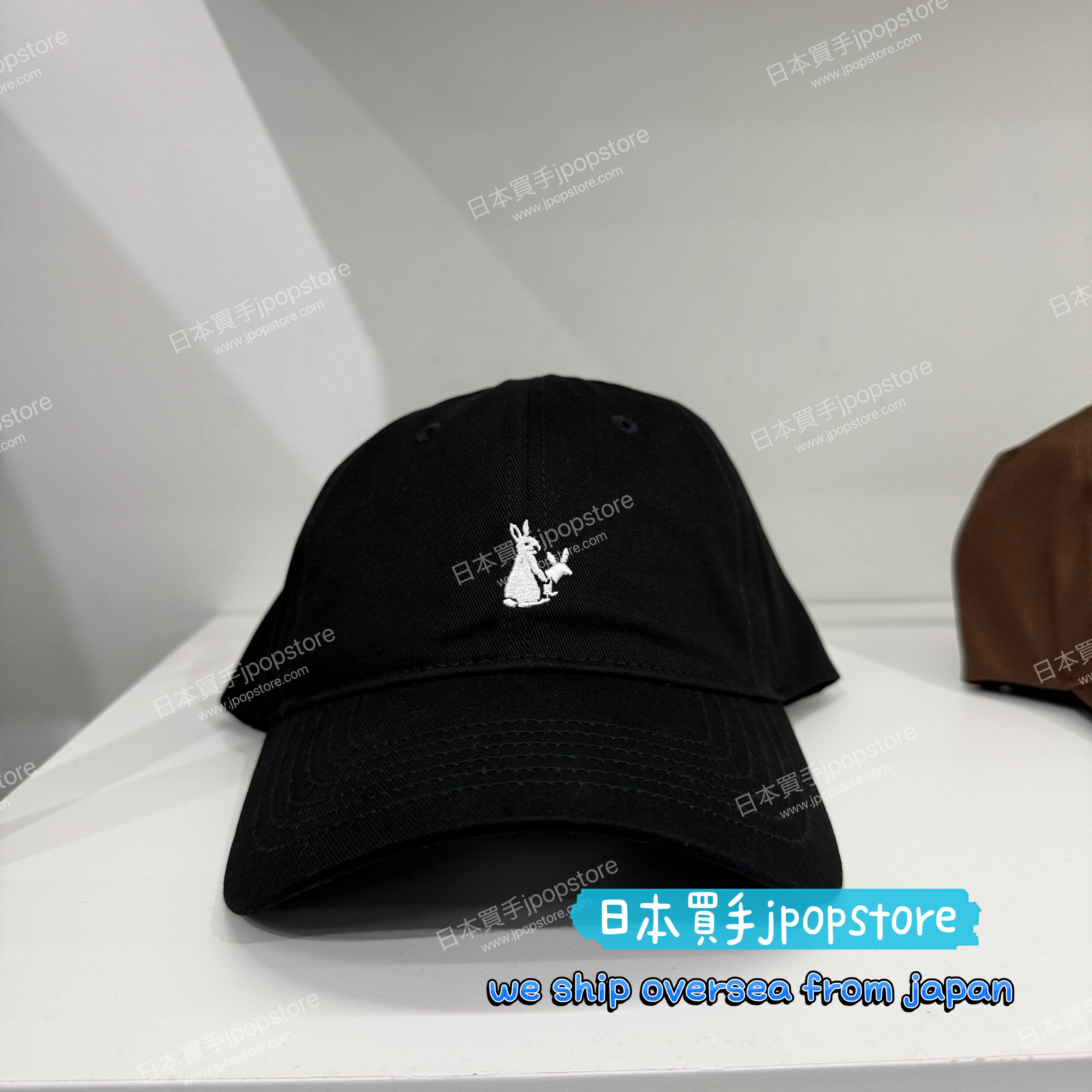 FR2 Embroidery Icon Cap fra2032