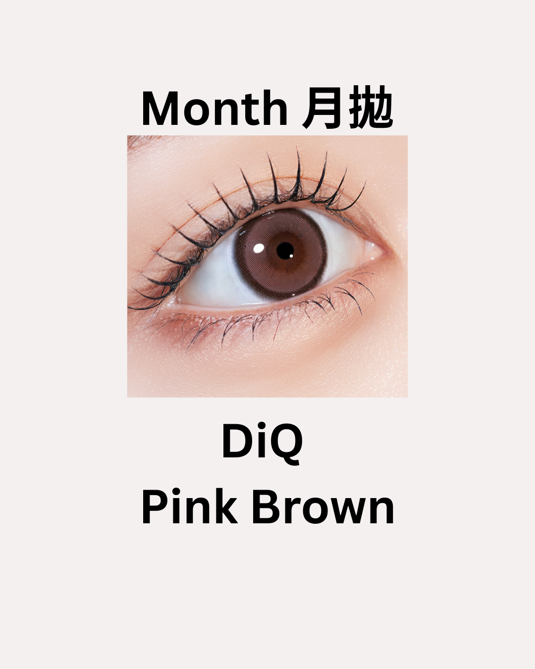 [月拋] FiPN DiQ Pink Brown 月拋隱形眼鏡｜每盒2片