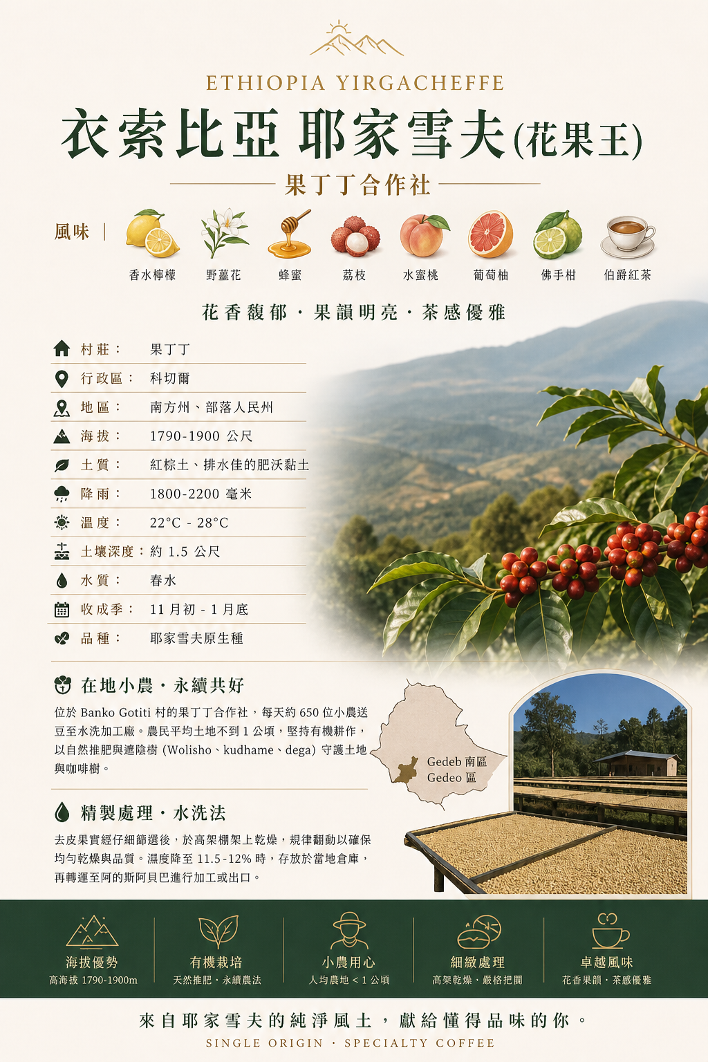 耶加雪菲花果王（半磅裝）買一送一