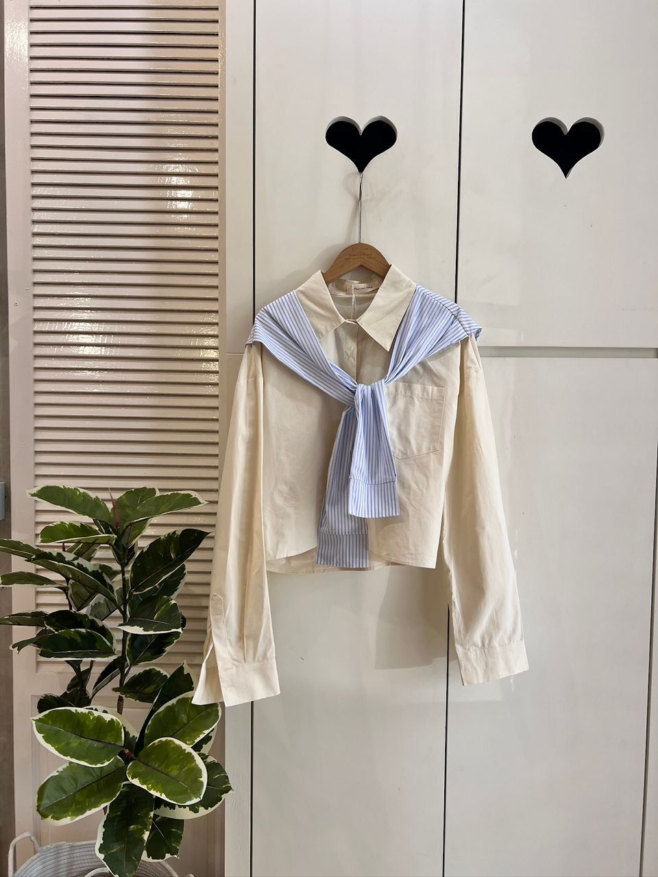 B4302 RM109 ▶️素面襯衫 👉B:112cm L:50cm