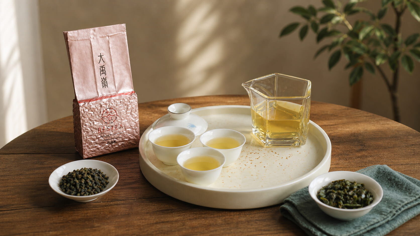 大禹嶺88K茶區