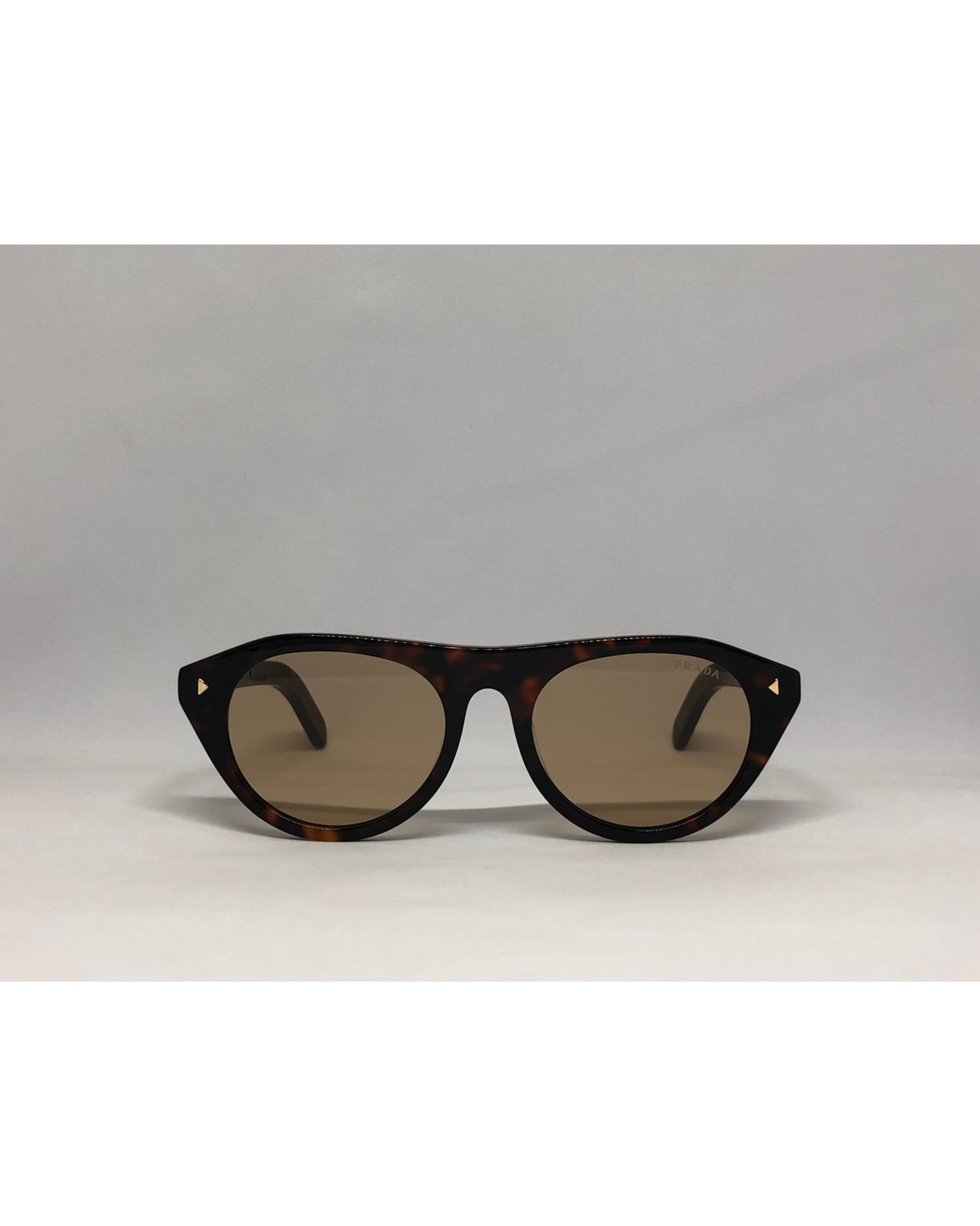 Prada Pr B15s Root Tortoise