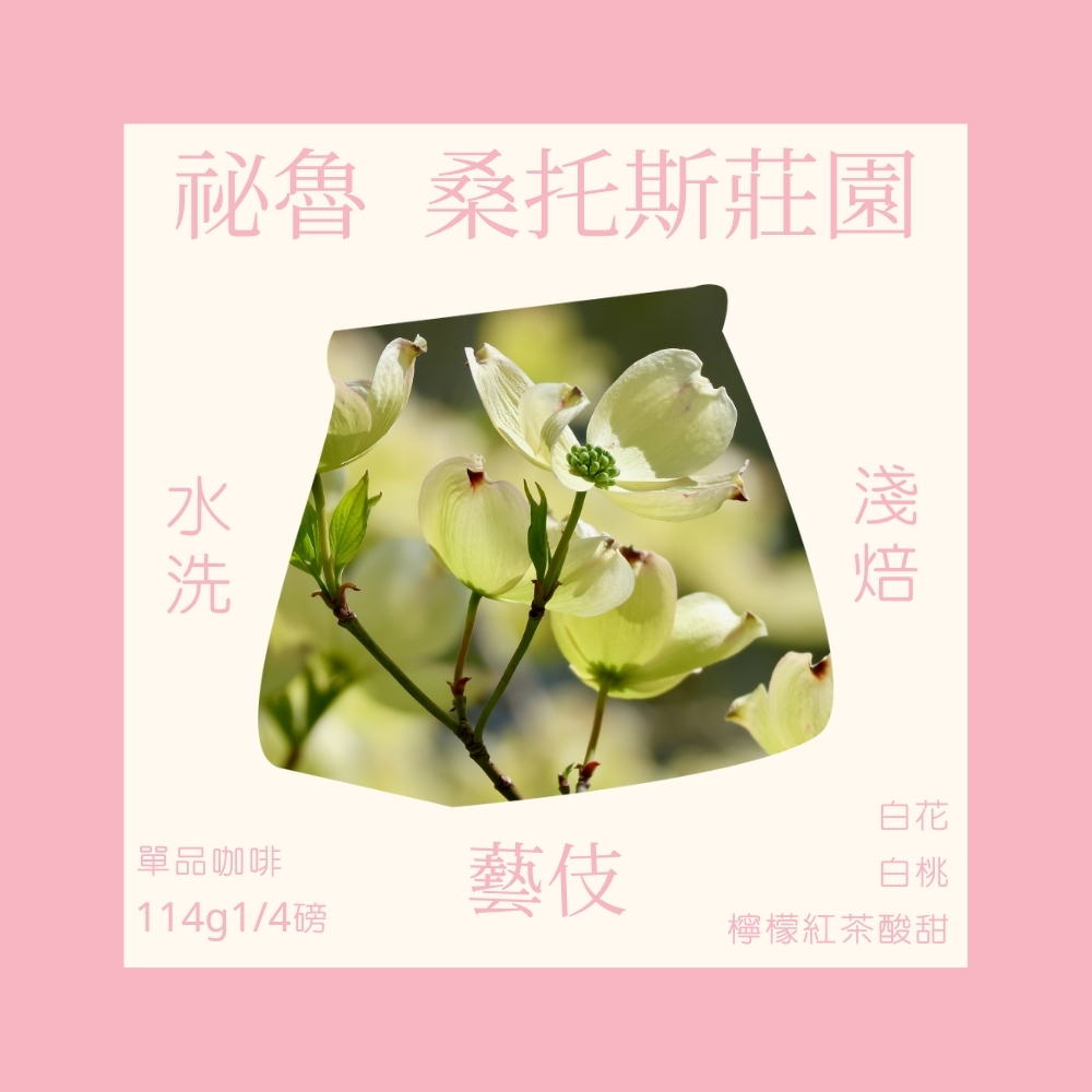 淺焙｜祕魯 亞馬遜 桑托斯莊園 藝伎Geisha 水洗處理法 1/4磅 咖啡豆｜暖窩咖啡