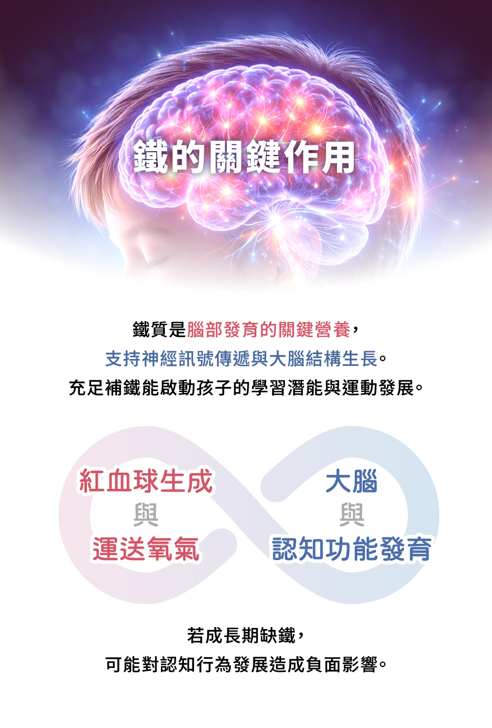 鐵的主要作用於紅血球生成/運送氧氣及大腦的認知功能發育