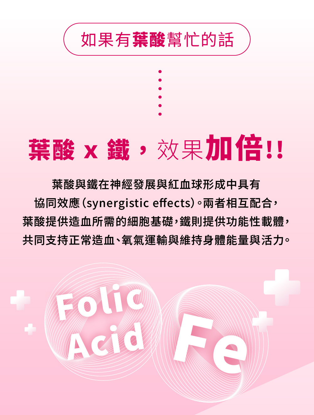 鐵與葉酸具有協同效應，共同支持紅血球生成、氧氣運輸、維持身體能量與活力。