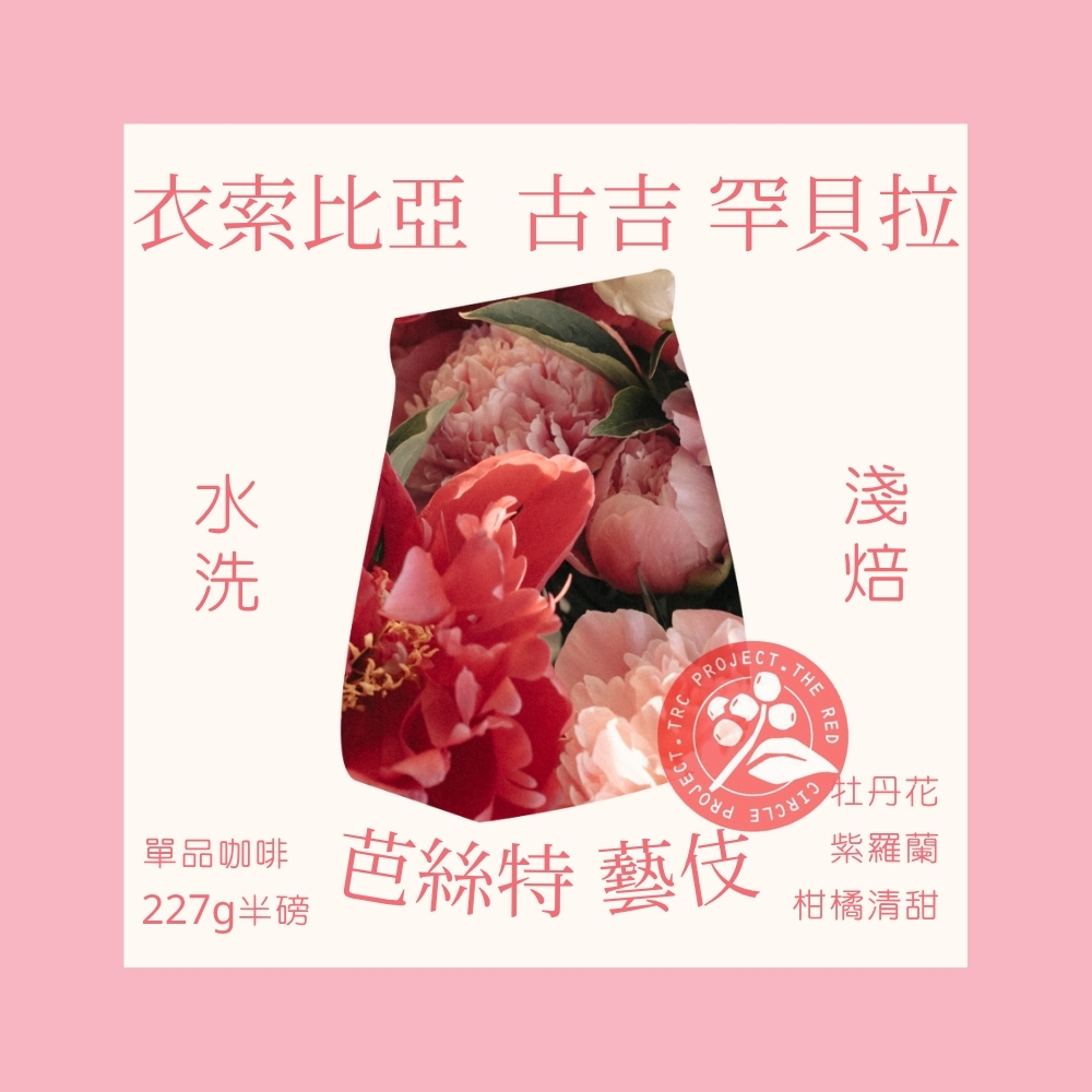 淺焙｜衣索比亞 古吉 罕貝拉 芭絲特 藝伎 水洗處理法 咖啡豆 半磅(227g±5g)｜暖窩咖啡