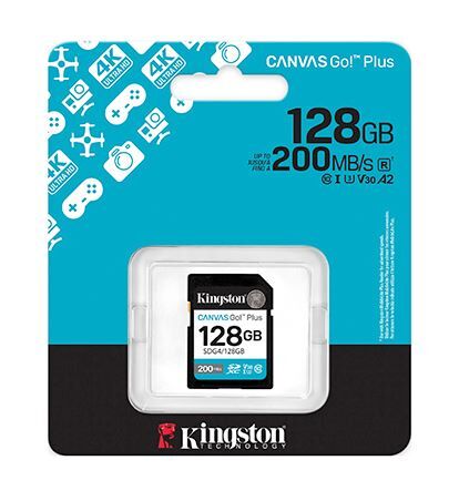 金士頓 Kingston SDG4 Canvas Go! Plus SD記憶卡 64GB 128GB 256GB