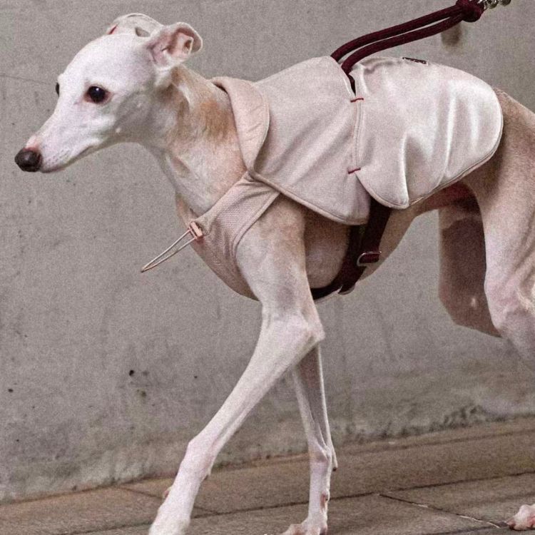 Cool Vest