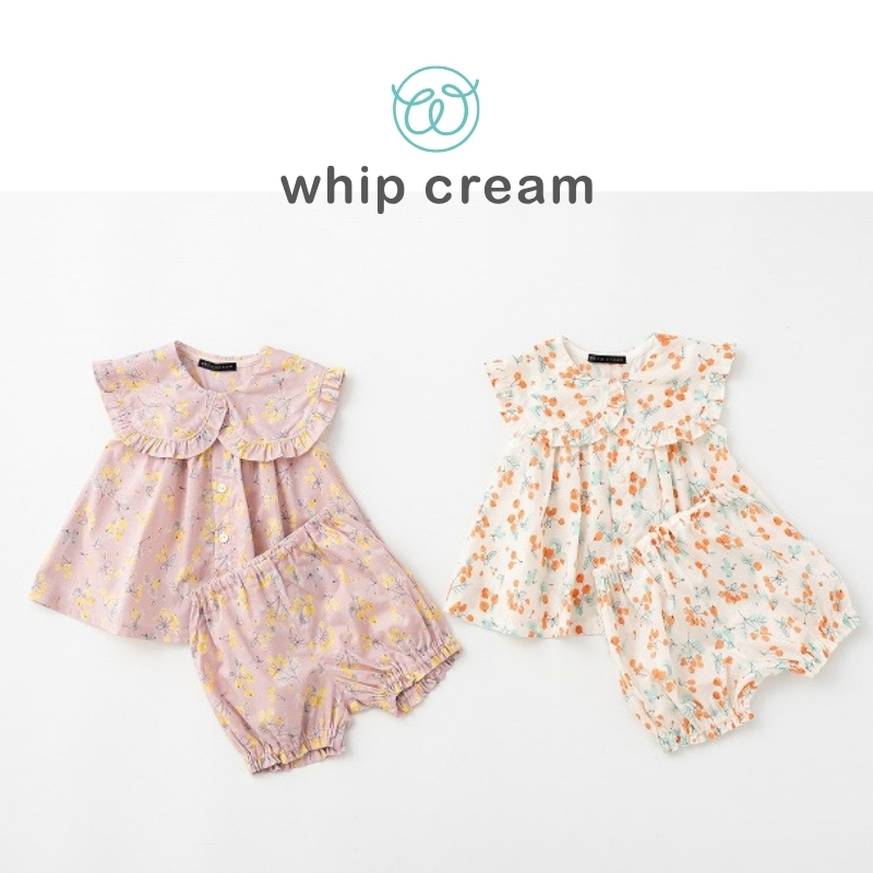 【日本 whip cream】木頭果實套裝