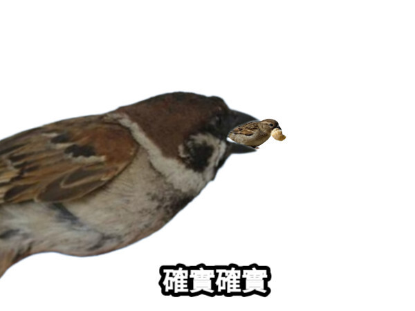雀食確實