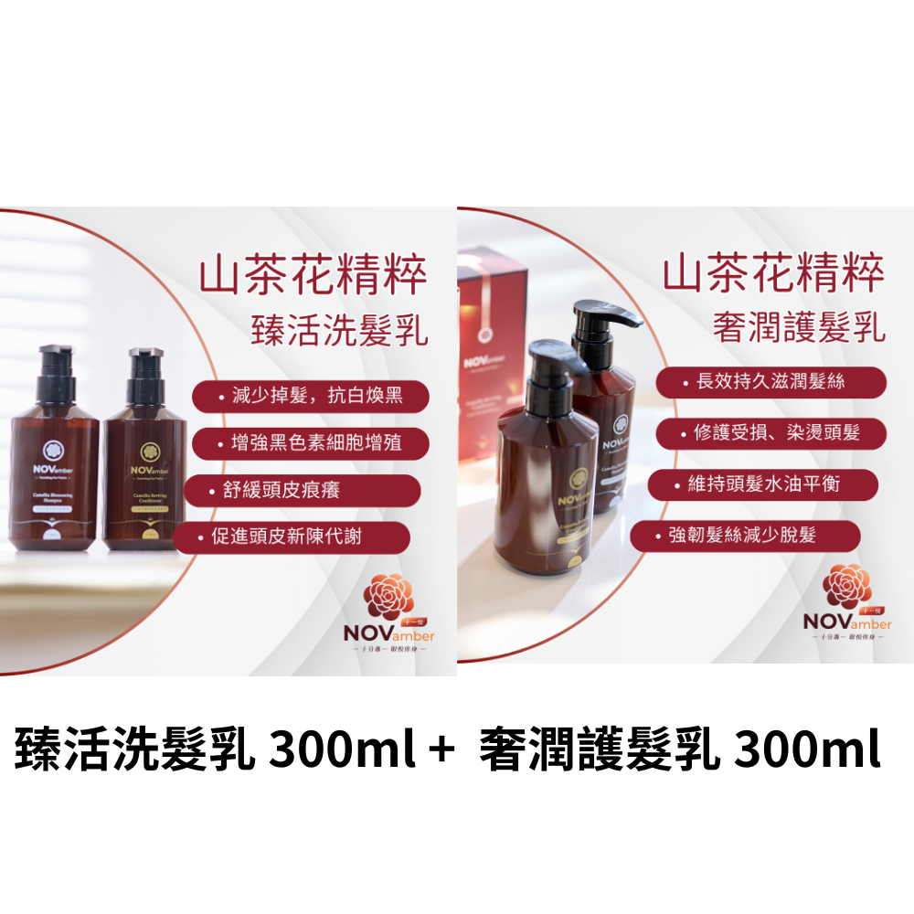 HKFG0504-013 優惠裝【防脫煥黑】山茶花精粹 臻活洗髮乳+護髮素 300ml+300ml (到期日:2026年9月) (A13)