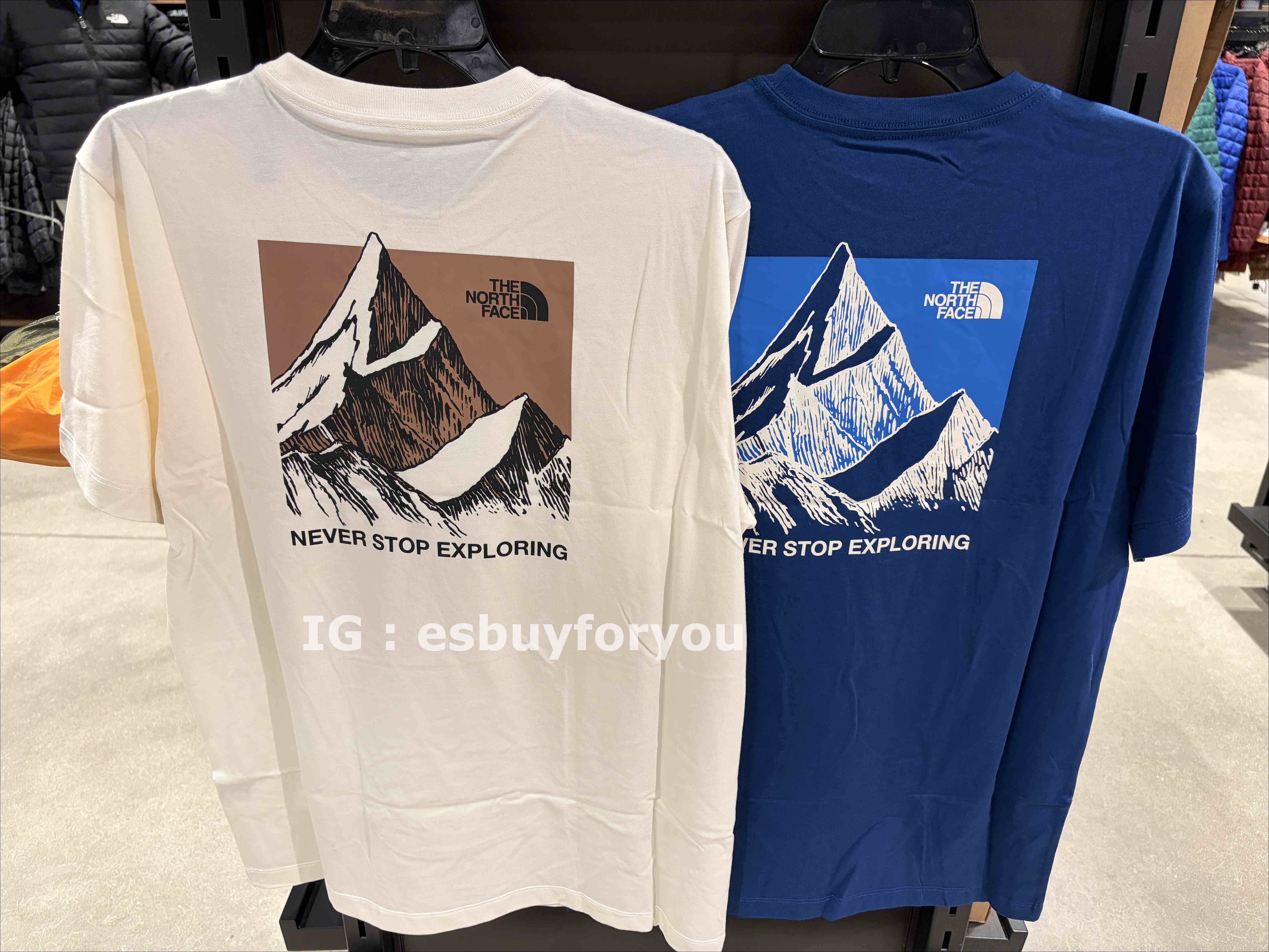 THE NORTH FACE 男大人 造型雪山 正反圖 短TEE (2色)