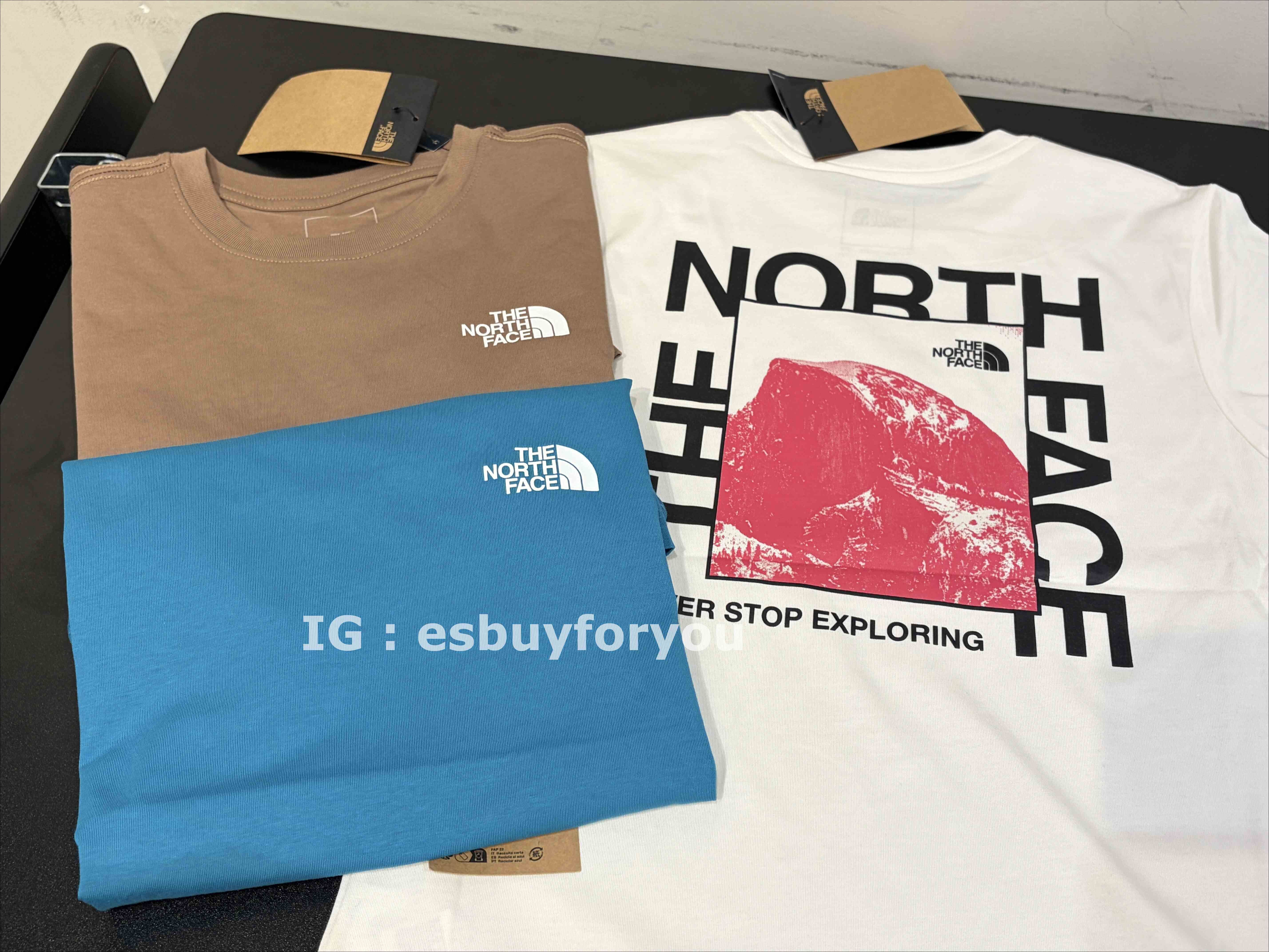 THE NORTH FACE 女大人 造型圖案標語 正反圖案 短TEE (正常版) (3色)