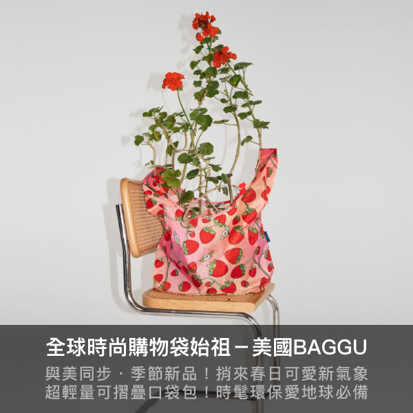 baggu,購物袋,環保包,登機包,托特包,腋下包,吐司包,旅行,收納包,收納袋,行李打包
