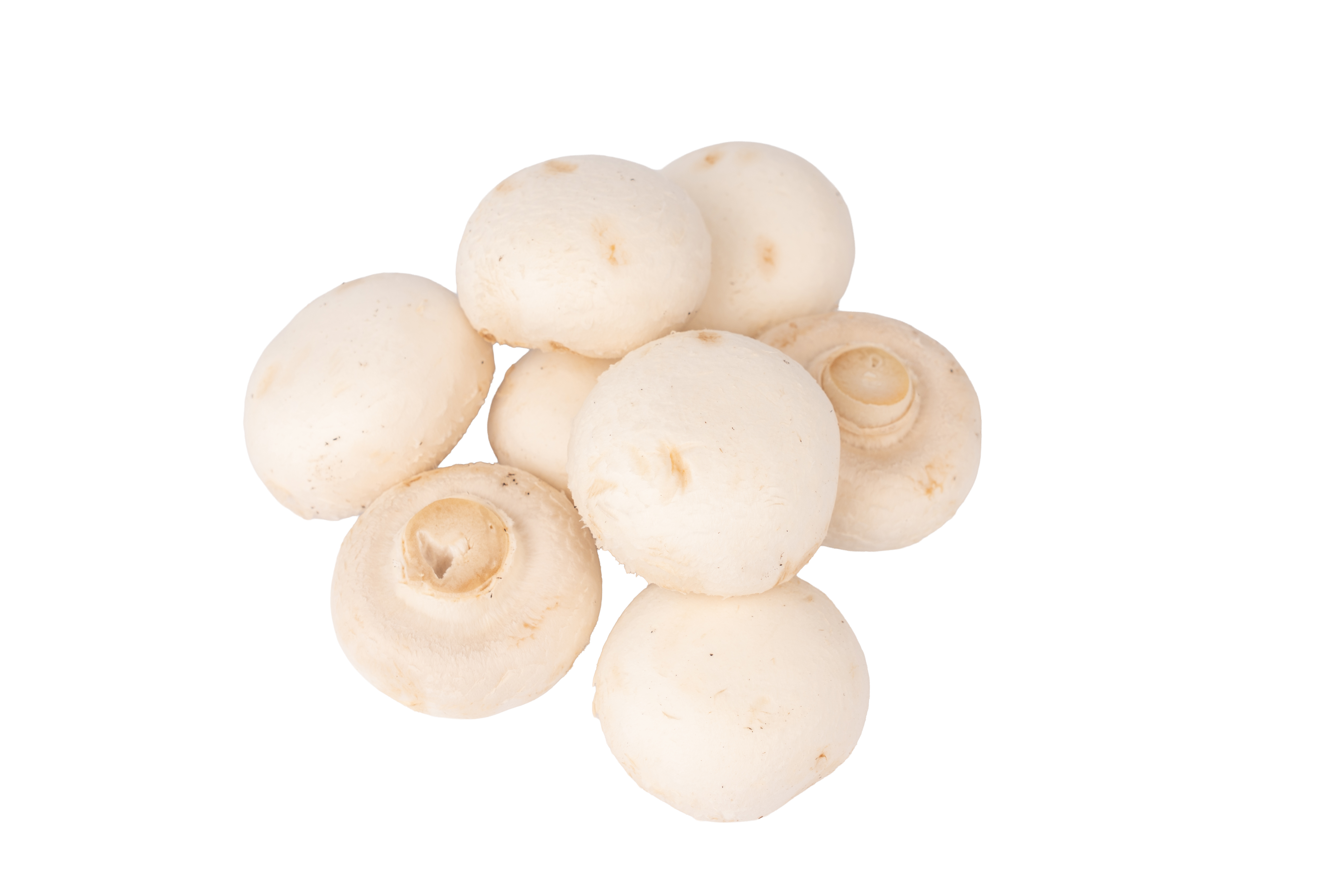 本地有機白蘑菇 (200g)