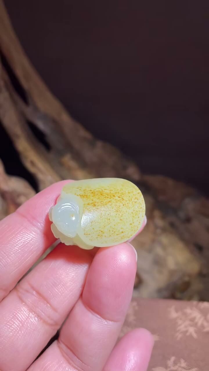 和田玉籽料龍龜,天然和田玉軟玉